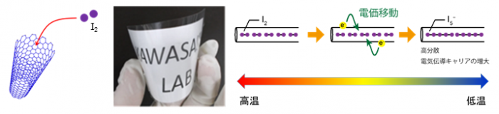 dynamics of molecular iodine.png