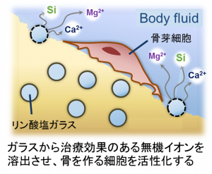 イメージ図_三浦さん.png