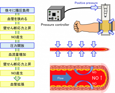 staward2017_kawaguchi.png