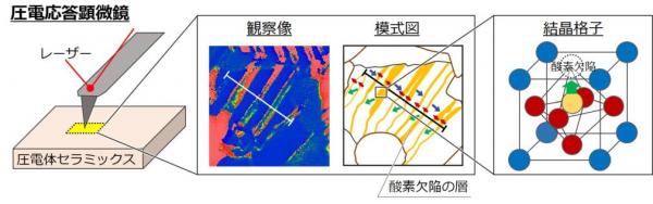 実験の図_前田晋朔.jpg