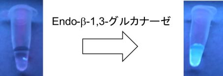 20190902大野綾音1.jpg