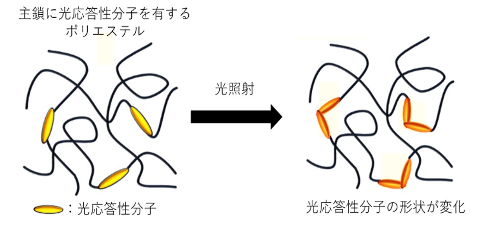 静定構造