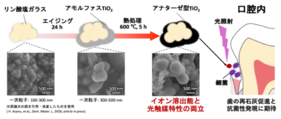 asano_image.png