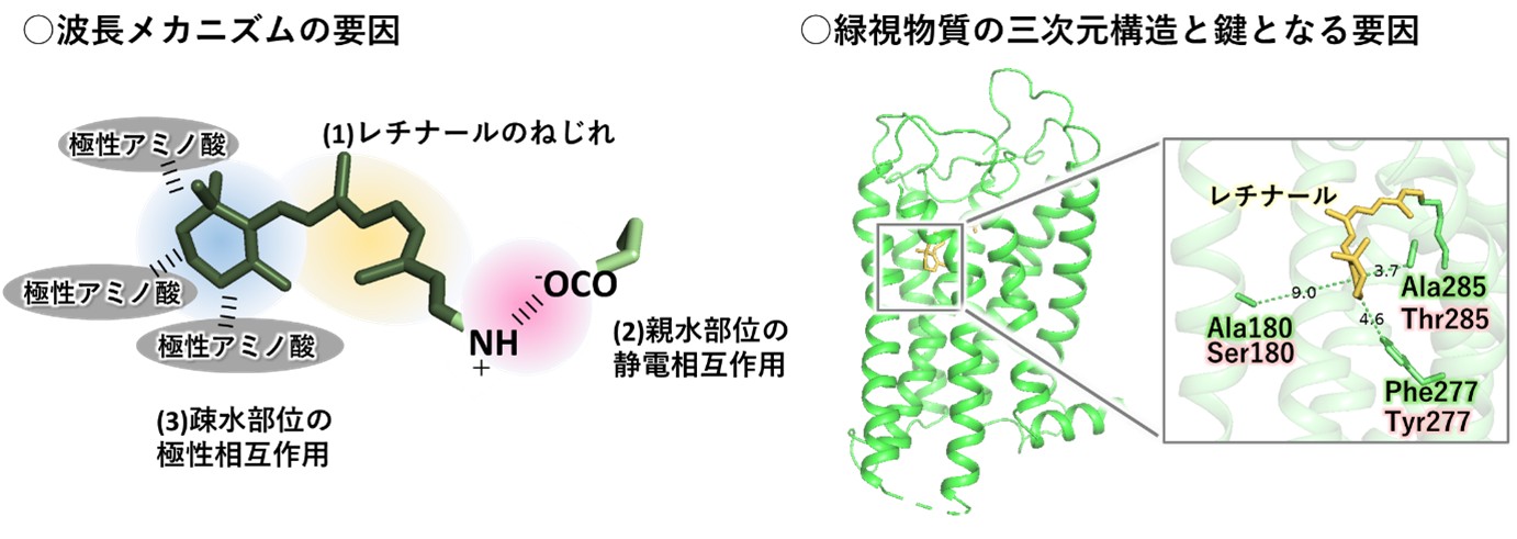 award_ohashi_image.jpg
