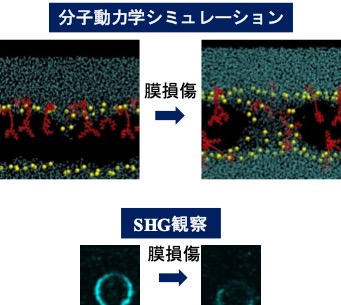 takagi-fig.jpg