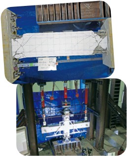 楠原 文雄 教授の研究の様子の写真