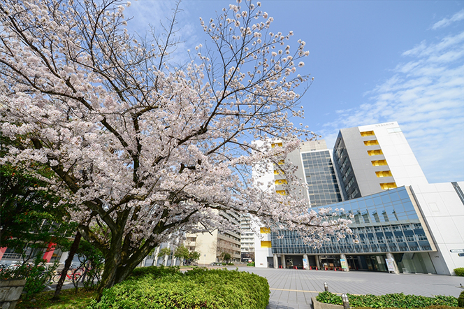 大学院工学研究科博士後期課程