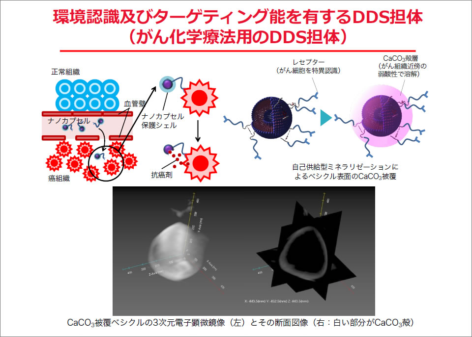 薬物送達・動態科学部門