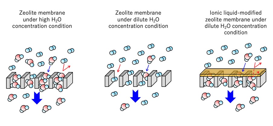 RESEARCH NEWS - Towards New Ionic Liquid-Modified Zeolite Membranes for Efficient CO<sub>2</sub> Conversion