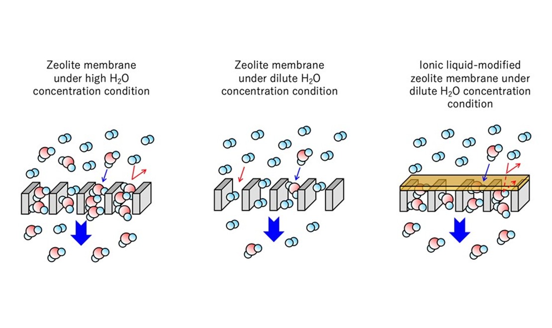 RESEARCH NEWS - Towards New Ionic Liquid-Modified Zeolite Membranes for Efficient CO<sub>2</sub> Conversion
