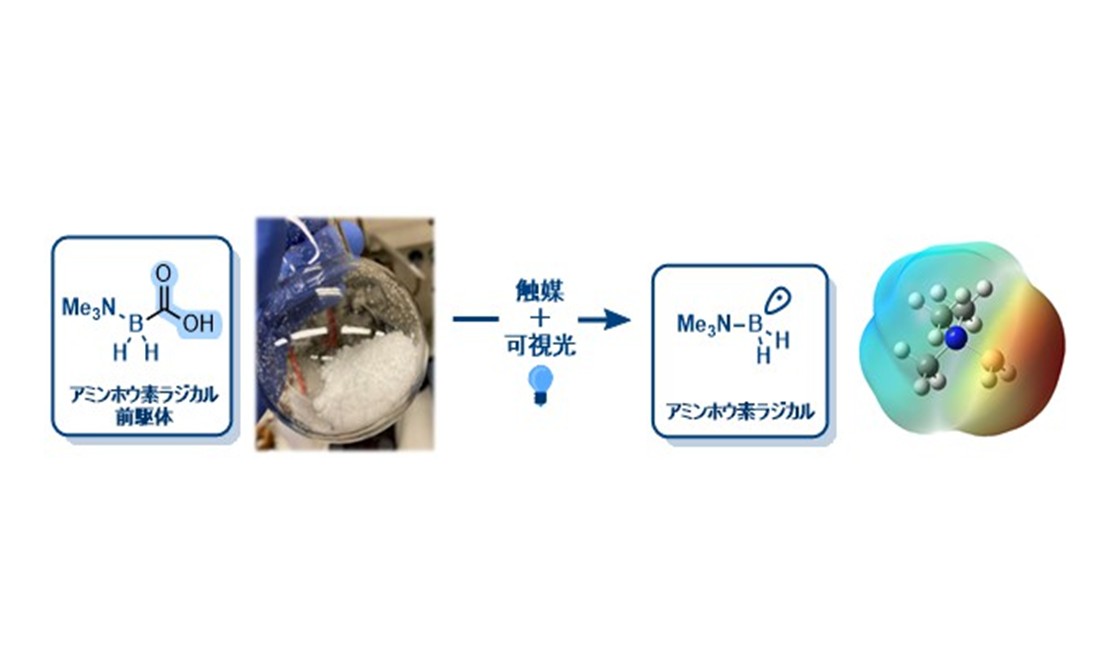 Assistant Professor YASUKAWA Naoki receives Early Career Award on the Chemical Society of Japan, Tokai Branch 