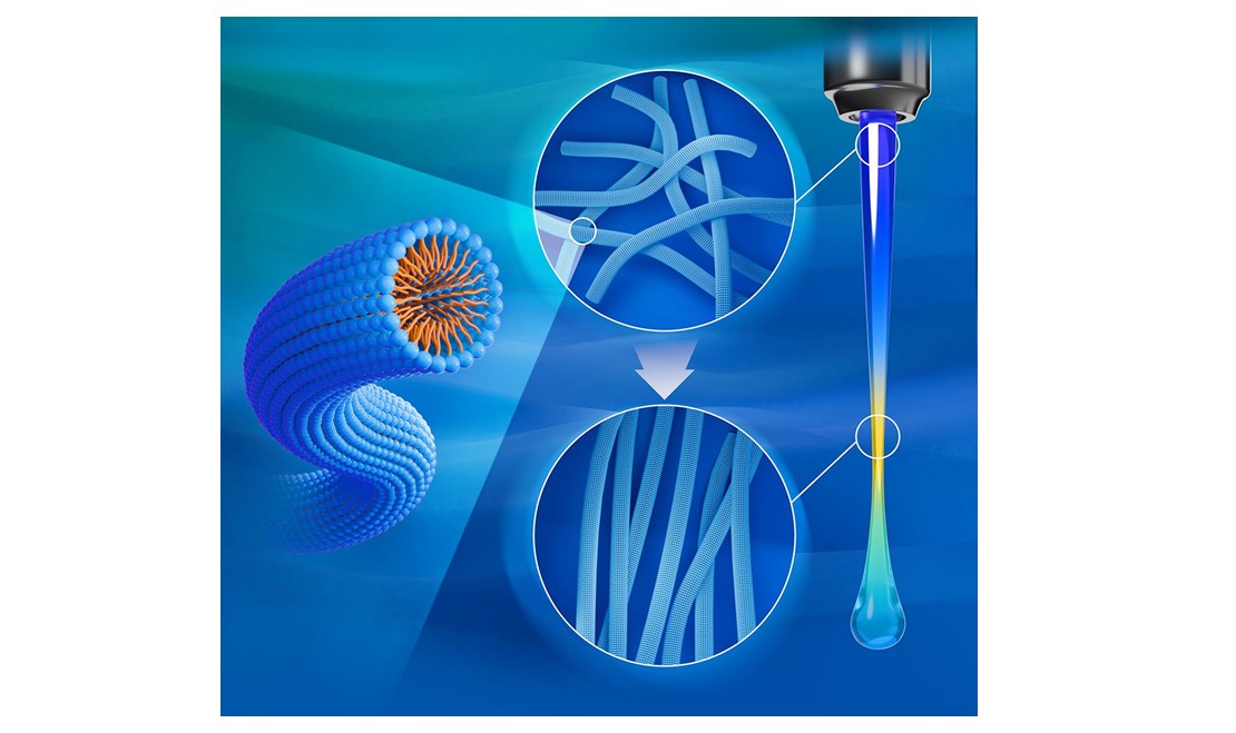 RESEARCH NEWS    Nagoya Institute of Technology Researchers Probe Dynamics of Micellar Structures under Uniaxial Extensional Stress in a New Study