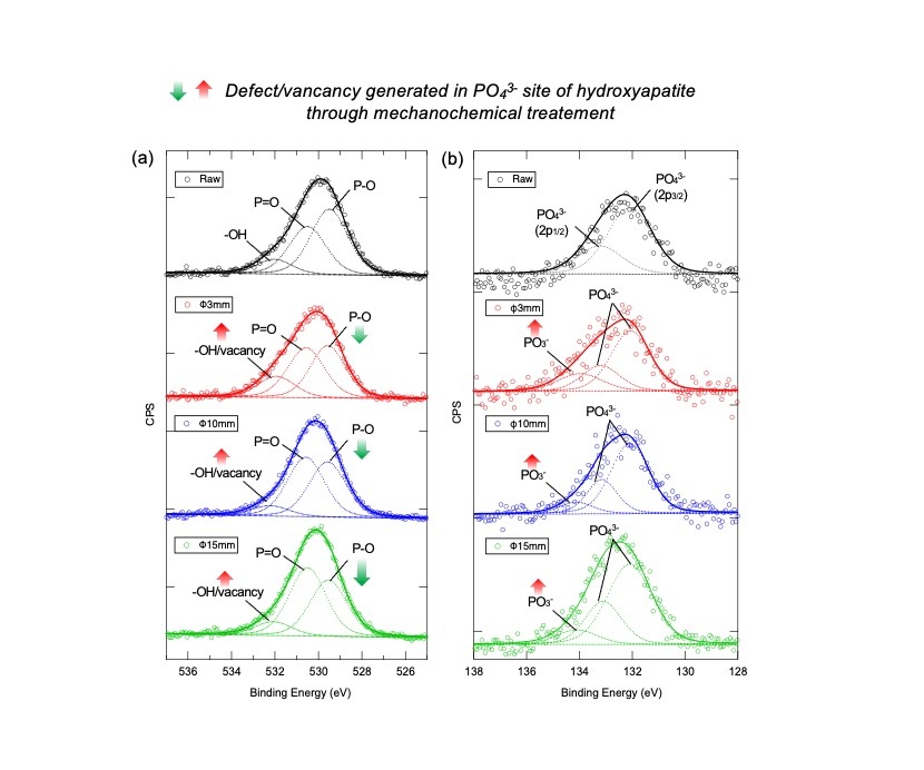 Figure 2.jpg