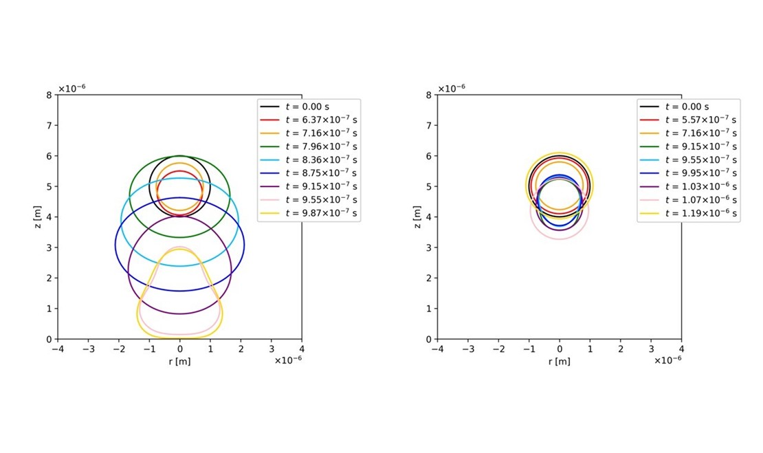 RESEARCH NEWS   Nagoya Institute of Technology Researchers Model Microbubble Behavior in Viscoelastic Fluid Under Ultrasound Forcing 