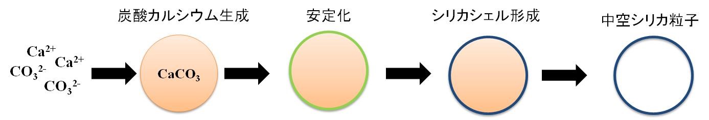 https://www.nitech.ac.jp/eng/mt_imgs/chart1.jpg