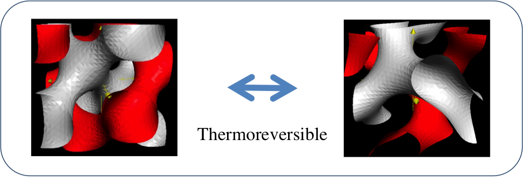 https://www.nitech.ac.jp/eng/mt_imgs/suzuki_research.png