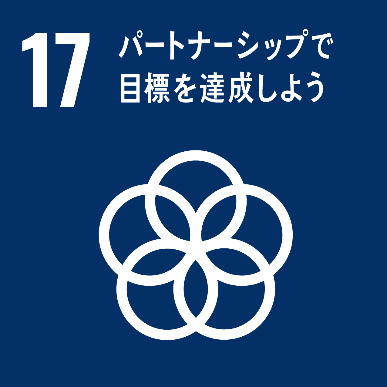 17 パートナーシップ目標を達成しよう