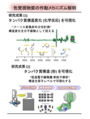 片山先生の図.jpg