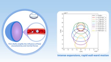 【Research】Simulating EMB dynamics in viscoelastic fluids with pulsed ultrasound and near rigid wall（Assistant Professor FURUKAWA Haruki）