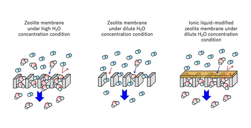 【Research】Towards New Ionic Liquid-Modified Zeolite Membranes for Efficient CO2 Conversion