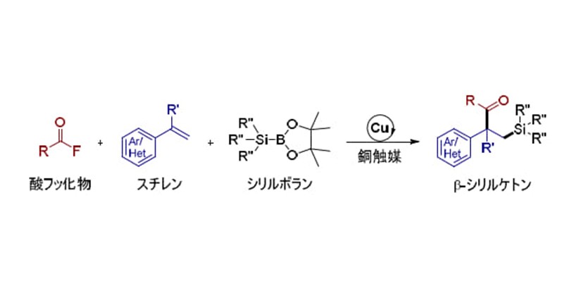 フッ素化合物を持続可能な資源へ ― C-F結合を切断し、スチレンを二官能基化する新技術 ―