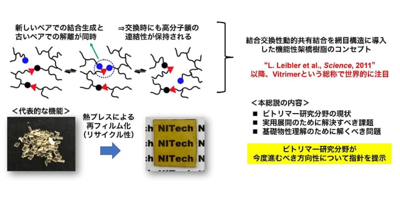 林幹大助教の総説がProgress in Polymer Science誌にRising Stars 2025として掲載されました