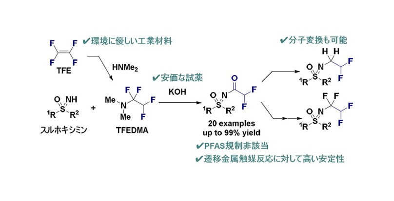 PFASに該当しないフッ素官能基の提案と合成 ― 環境にやさしい農薬・界面活性剤への道を拓く ―