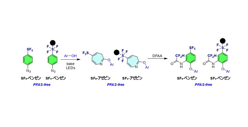 「PFASフリー」次世代フッ素分子を創る新技術 ― ベンゼン環を自在に組み替える高効率骨格編集反応 ―