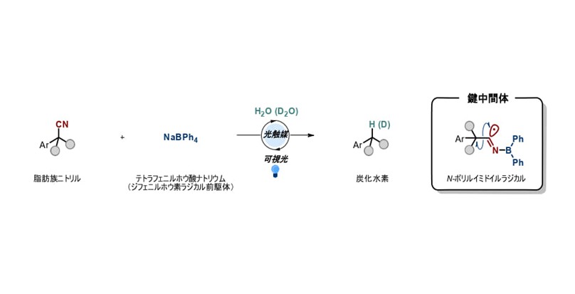 光とホウ素ラジカルで環境にやさしい新手法を開発～切りにくい「炭素－シアノ結合」を室温下で開裂～