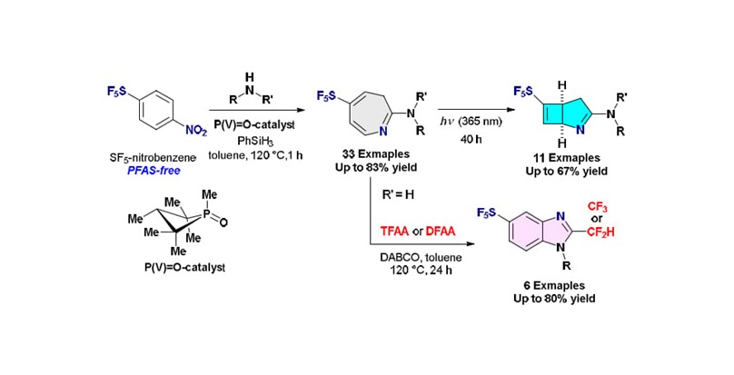 PFASフリーの新時代へ： 骨格編集で実現するSF5複素環の革新的合成法
