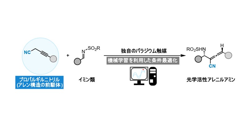 有望な合成中間体であるアレニルアミンの不斉合成法を開発 ～機械学習を利用した中心不斉と軸不斉の同時制御に成功～