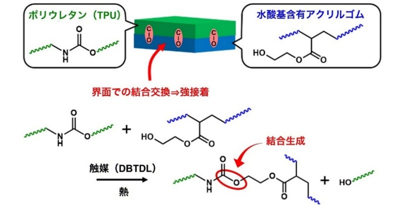 樹脂界面での「結合交換」を利用した新接着技術の開発 ―接着剤不使用での異樹脂間接着を実現―