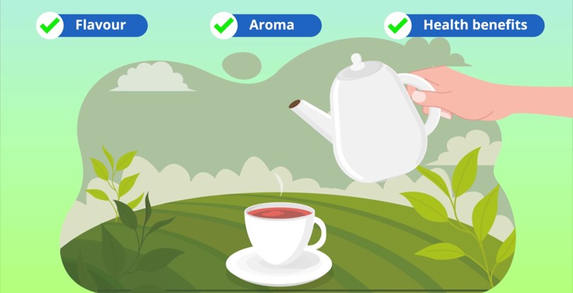 【Research】Degradation of Tea Catechins by Ceramic Glazes（Associate Professor Takashi Shirai）