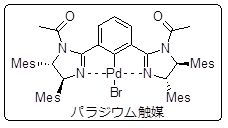 https://www.nitech.ac.jp/mt_imgs/%E3%83%91%E3%83%A9%E3%82%B8%E3%82%A6%E3%83%A0%E8%A7%A6%E5%AA%92.jpg