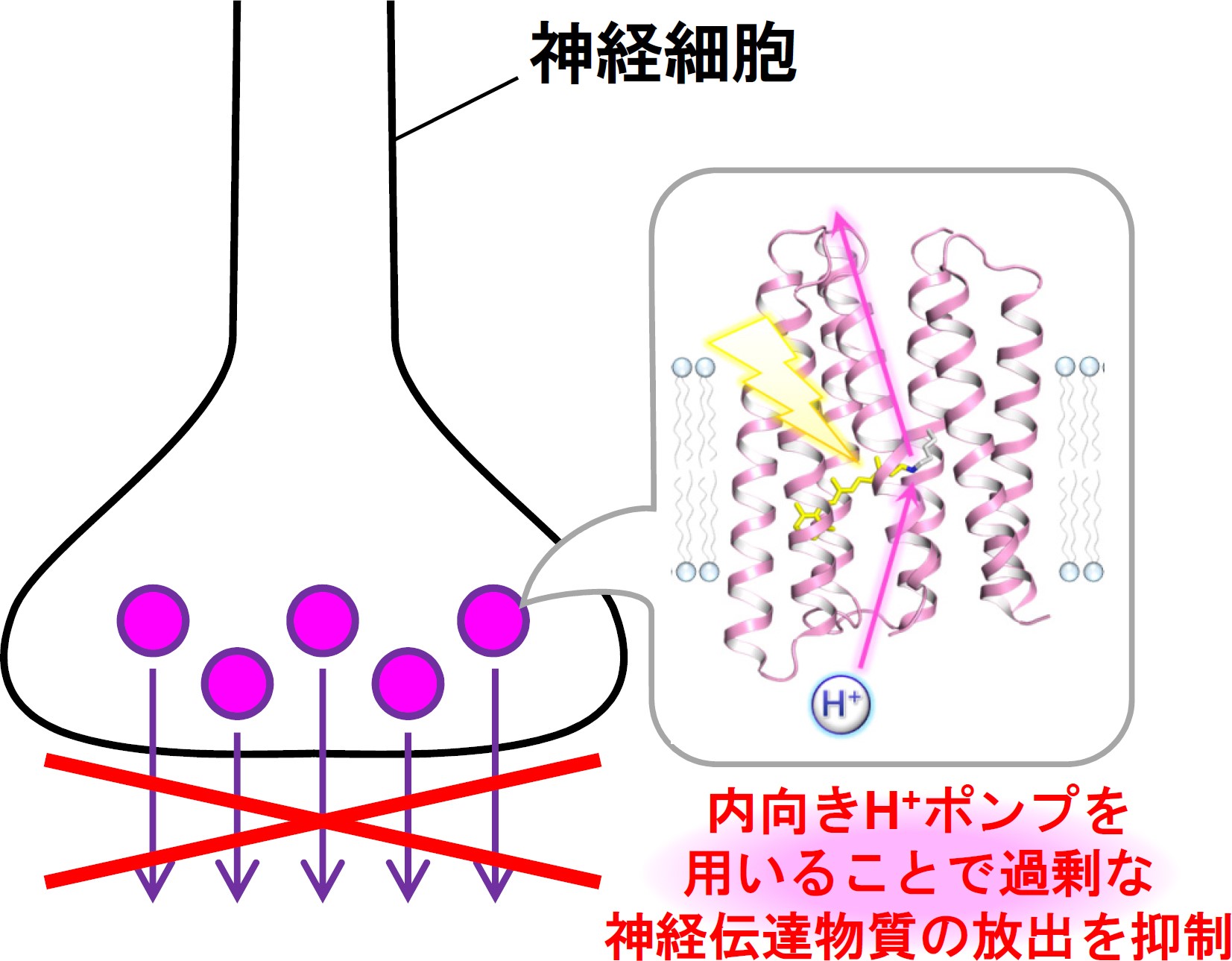 https://www.nitech.ac.jp/mt_imgs/%E5%9B%B3%EF%BC%93_kandori.jpg