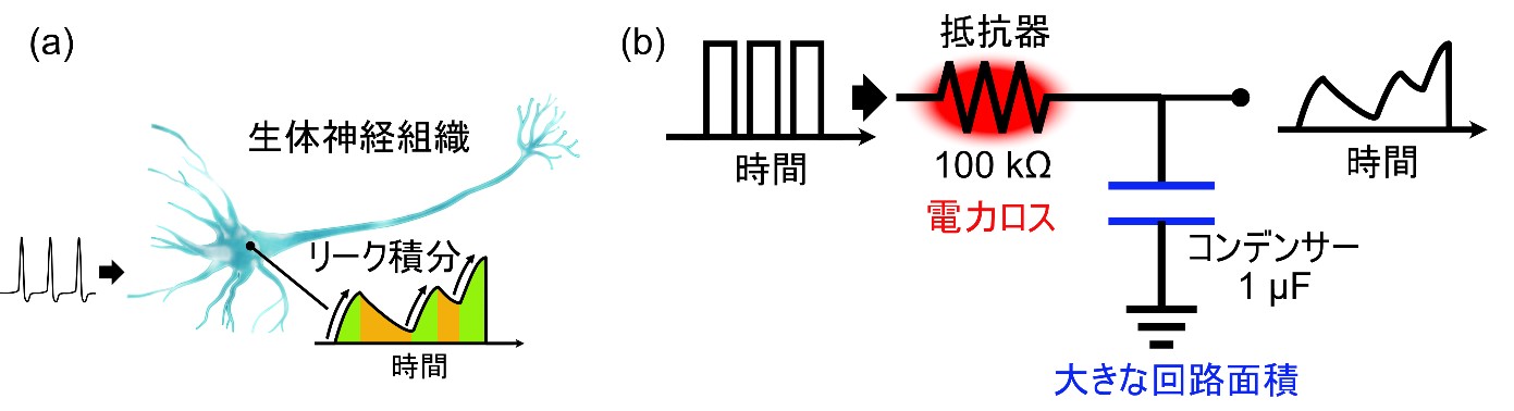 画像1.jpg