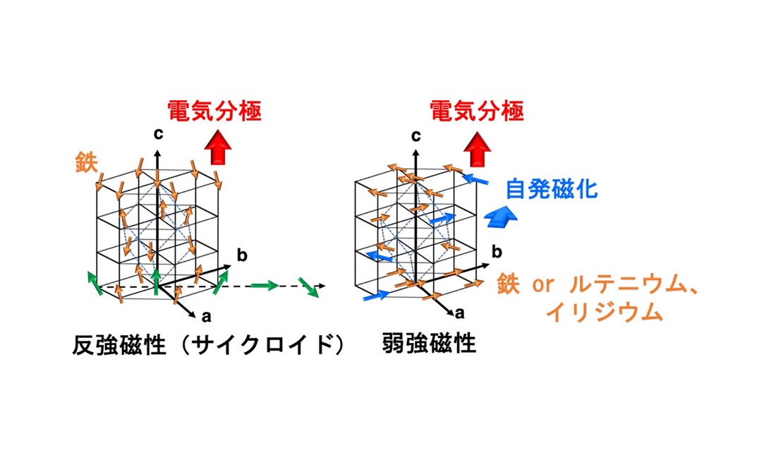 複数元素置換で鉄酸ビスマスに新しい機能を付与 ―コンデンサと磁石の性質に加え、室温での負熱膨張を発現―