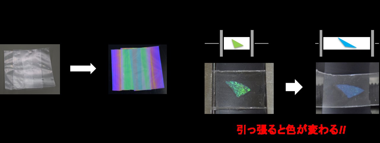 https://www.nitech.ac.jp/mt_imgs/161119seminar.jpg