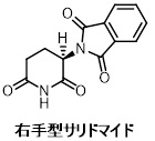 181120shibata0.jpg