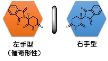 サリドマイドパラドックスを説明 鏡像異性体を持つ医薬品の使用に警鐘 国立大学法人名古屋工業大学