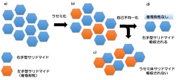 181120shibata3.jpg