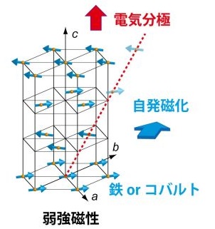 190207Mibu1.jpg