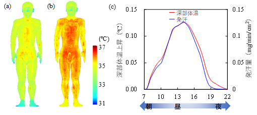 190717hirata2.png