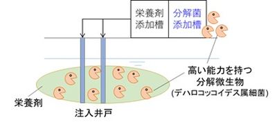 191029yoshida1.jpg