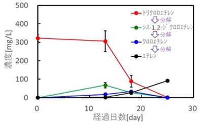 191029yoshida3.jpg