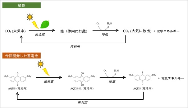 200124ishii02.jpg