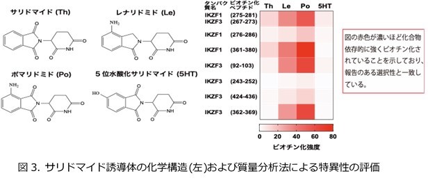 fig3.jpg