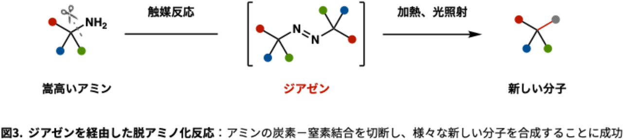 250717press_hayashi3.png