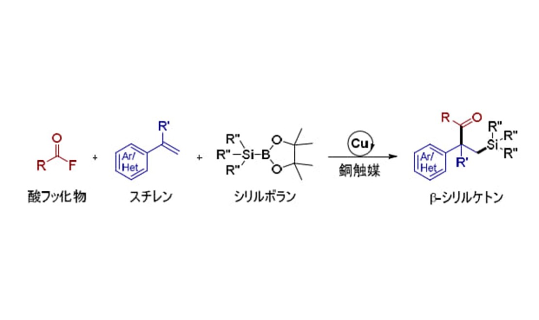 フッ素化合物を持続可能な資源へ ― C-F結合を切断し、スチレンを二官能基化する新技術 ―