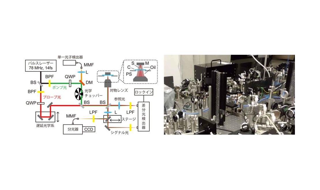 １粒子ごとの超高速分光で、光捕集アンテナの